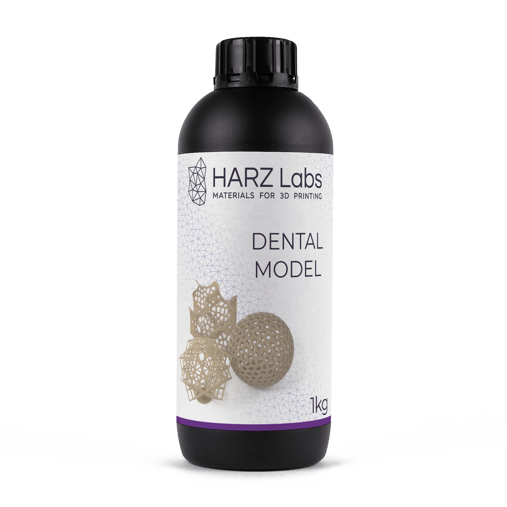  HARZ Labs Dental Model Beige (1 )